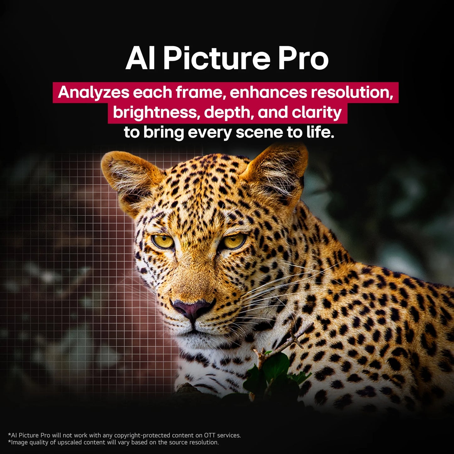 LG 55" OLED B5 Series 4K UHD OLED AI Smart Webos 25 TV, OLED55B5PUA